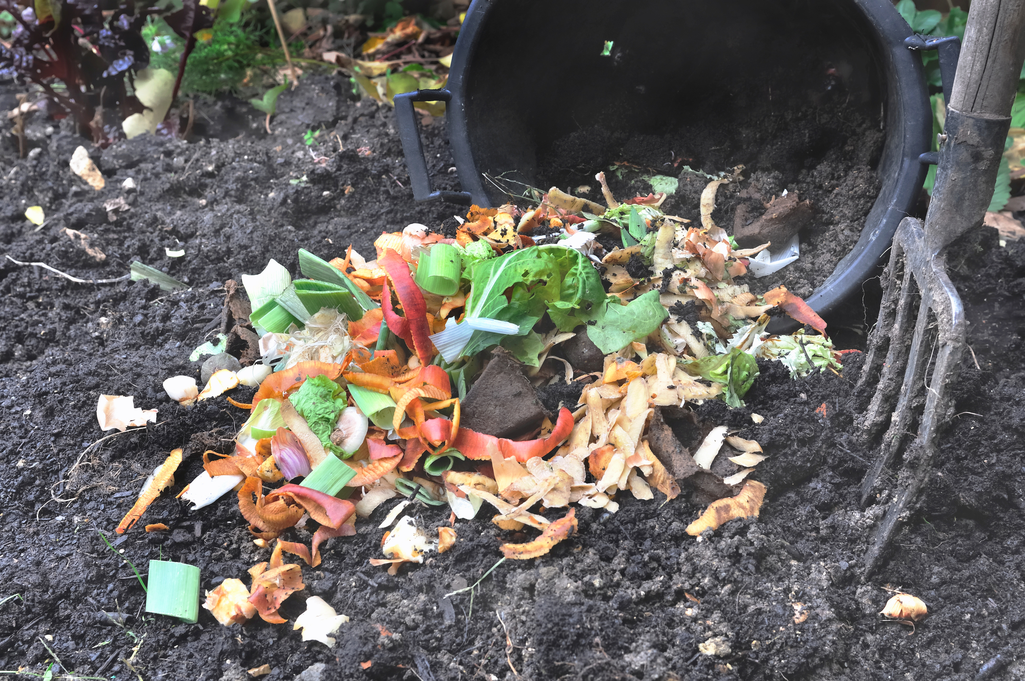 compost pile for a sustainable COVID yard