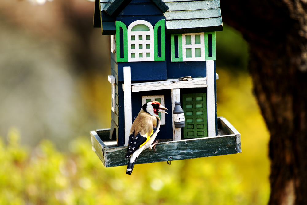 custom made birdfeeder