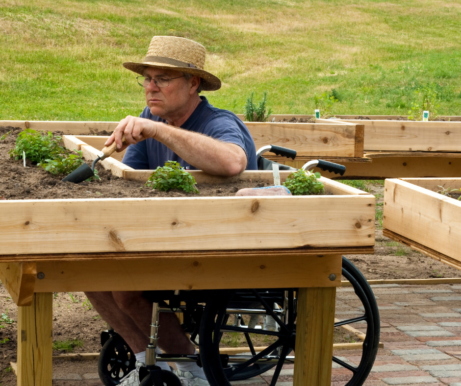 raised garden for wheelchair access